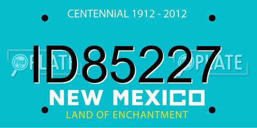 ID85227 New Mexico License Plate