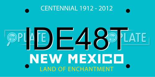 IDE48T New Mexico License Plate