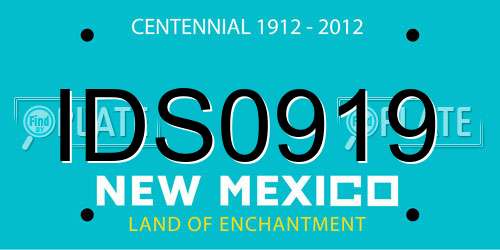 IDS0919 New Mexico License Plate
