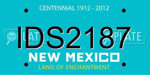 IDS2187 New Mexico License Plate