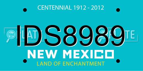IDS8989 New Mexico License Plate