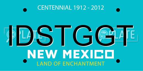 IDSTGGT New Mexico License Plate