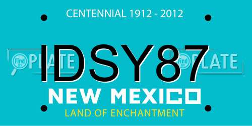 IDSY87 New Mexico License Plate
