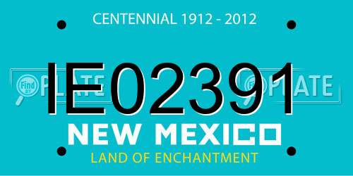 IE02391 New Mexico License Plate