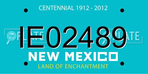 IE02489 New Mexico License Plate