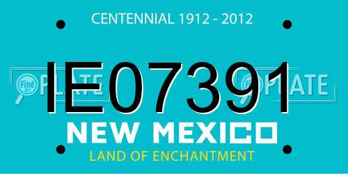 IE07391 New Mexico License Plate