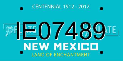 IE07489 New Mexico License Plate