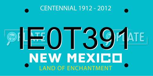 IE0T391 New Mexico License Plate