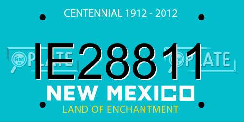 IE28811 New Mexico License Plate
