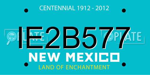 IE2B577 New Mexico License Plate