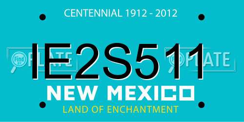 IE2S511 New Mexico License Plate