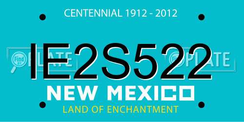 IE2S522 New Mexico License Plate