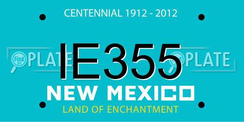 IE355 New Mexico License Plate