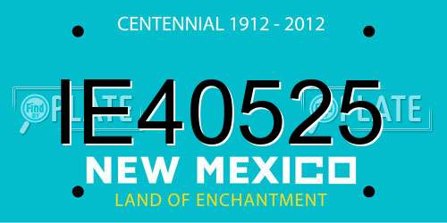 IE40525 New Mexico License Plate