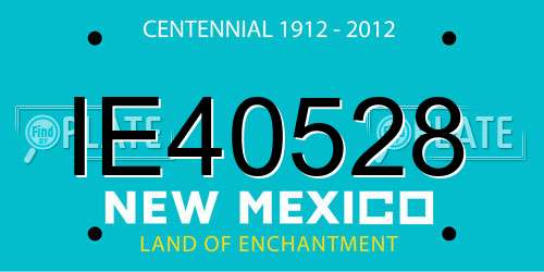 IE40528 New Mexico License Plate