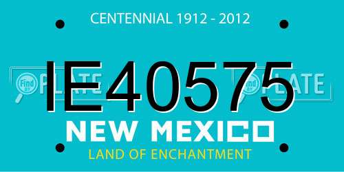 IE40575 New Mexico License Plate