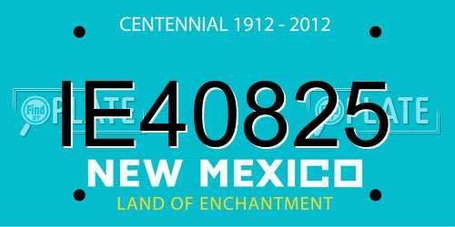 IE40825 New Mexico License Plate