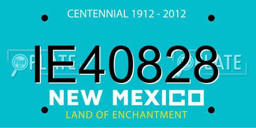 IE40828 New Mexico License Plate