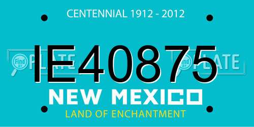 IE40875 New Mexico License Plate