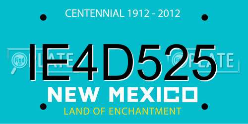 IE4D525 New Mexico License Plate