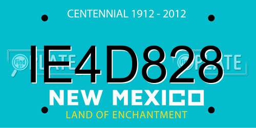 IE4D828 New Mexico License Plate