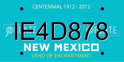 IE4D878 New Mexico License Plate