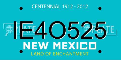 IE4O525 New Mexico License Plate