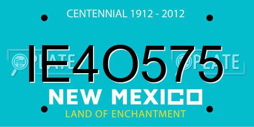 IE4O575 New Mexico License Plate