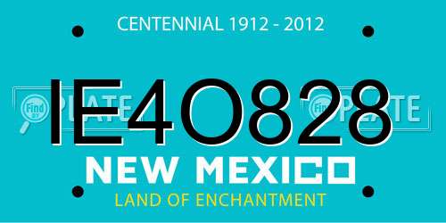 IE4O828 New Mexico License Plate
