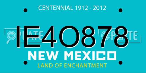 IE4O878 New Mexico License Plate