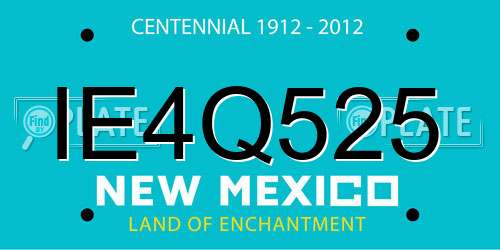 IE4Q525 New Mexico License Plate