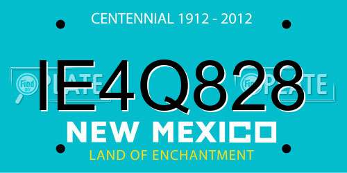 IE4Q828 New Mexico License Plate