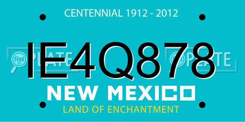 IE4Q878 New Mexico License Plate