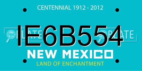 IE6B554 New Mexico License Plate