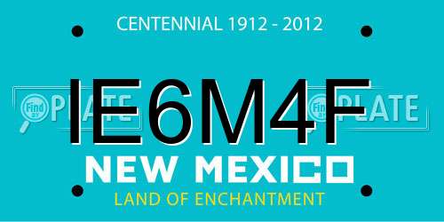 IE6M4F New Mexico License Plate