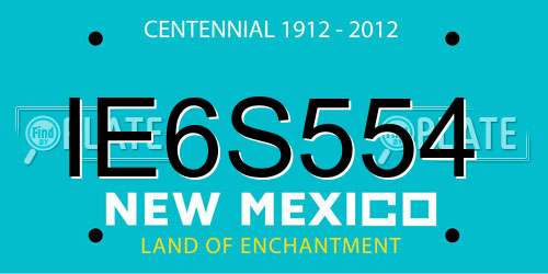 IE6S554 New Mexico License Plate