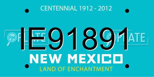 IE91891 New Mexico License Plate