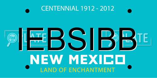 IEBSIBB New Mexico License Plate