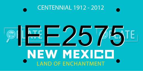 IEE2575 New Mexico License Plate