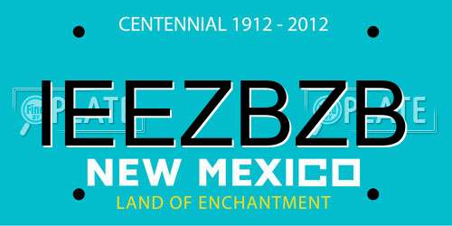 IEEZBZB New Mexico License Plate