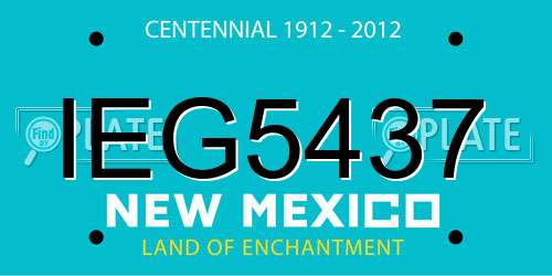 IEG5437 New Mexico License Plate