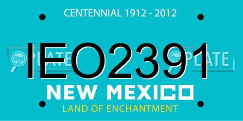 IEO2391 New Mexico License Plate