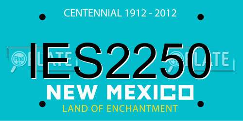 IES2250 New Mexico License Plate