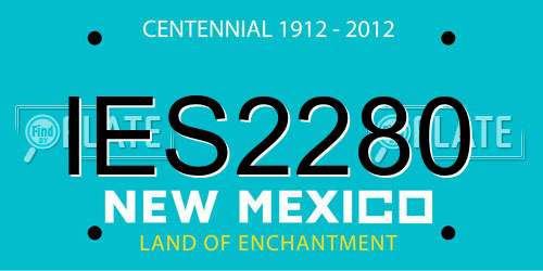 IES2280 New Mexico License Plate