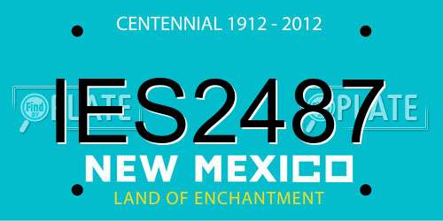 IES2487 New Mexico License Plate