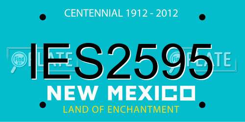 IES2595 New Mexico License Plate