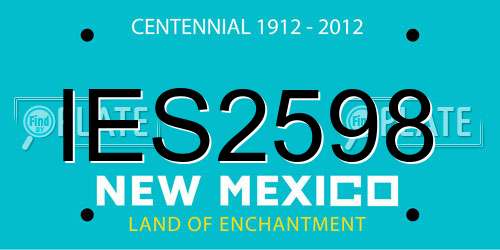 IES2598 New Mexico License Plate