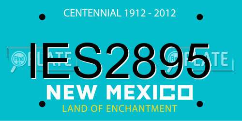 IES2895 New Mexico License Plate