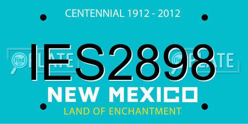 IES2898 New Mexico License Plate