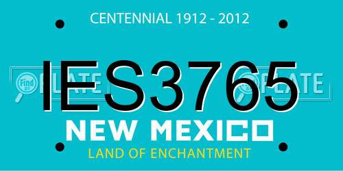 IES3765 New Mexico License Plate